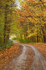 Image showing Autumn