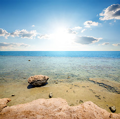 Image showing Coast of red sea