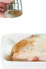 Image showing Flavoured Chicken
