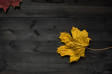 Image showing Wood autumn background