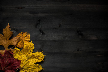 Image showing Wood autumn background