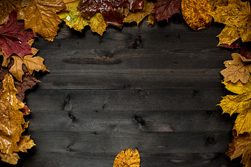 Image showing Wood autumn background