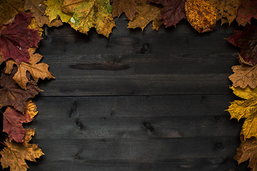 Image showing Wood autumn background