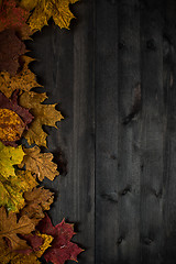 Image showing Wood autumn background