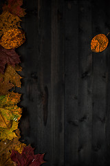 Image showing Wood autumn background