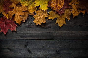 Image showing Wood autumn background