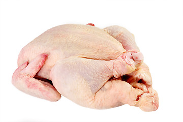 Image showing Raw Chicken