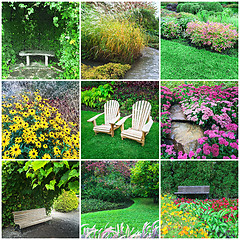 Image showing Gardens and flowers collage