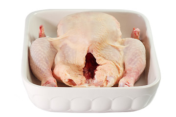 Image showing Tasty Chicken