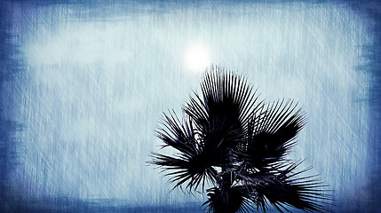 Image showing Palm tree abstract blue background