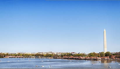 Image showing Washington Monument Tidal Basin