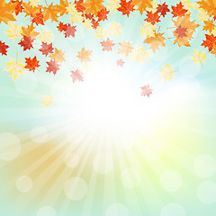 Image showing Autumn  frame 