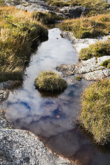 Image showing Pond