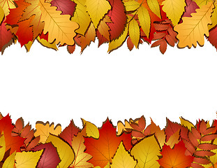 Image showing seamless with autumn leaves