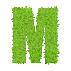 Image showing Uppecase letter M consisting of green leaves