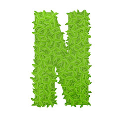 Image showing Uppecase letter N consisting of green leaves