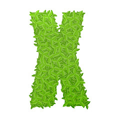 Image showing Uppecase letter X consisting of green leaves