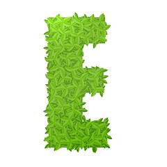 Image showing Uppecase letter E consisting of green leaves