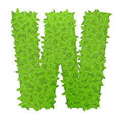 Image showing Uppecase letter W consisting of green leaves