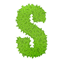 Image showing Uppecase letter S consisting of green leaves