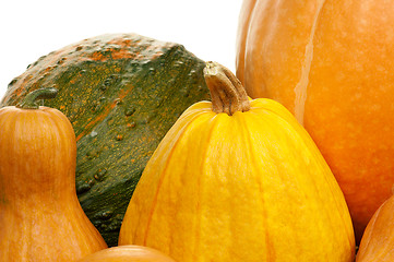 Image showing Ripe pumpkins