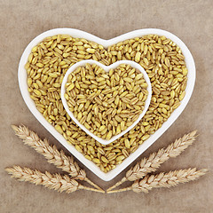 Image showing Kamut Khorasan Wheat