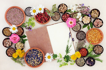 Image showing Herbal Medicine Ingredients