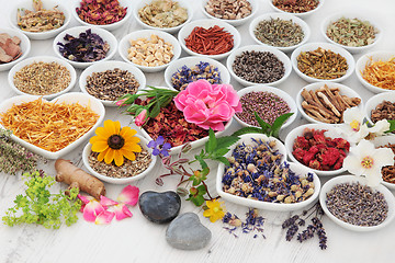 Image showing Therapeutic Herbs and Flowers