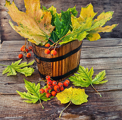 Image showing Autumn still life.