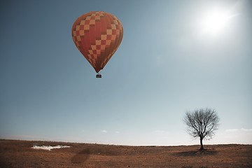 Image showing Air balloon and tree