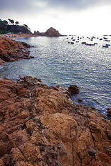 Image showing early morning on the rocky shore