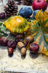 Image showing Autumn still life