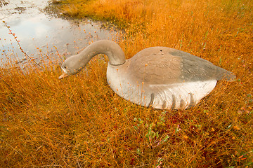 Image showing hunting on a bog  with goose profile