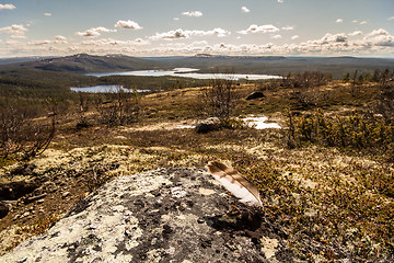 Image showing Mountain tundra in Lapland