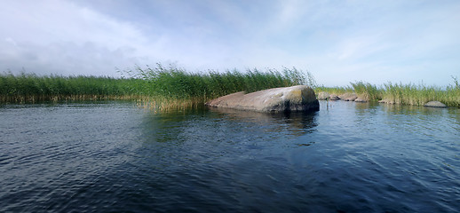 Image showing panorama of lake with reeds