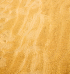 Image showing the brown sand dune in the sahara morocco desert 