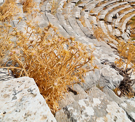 Image showing the old  temple and theatre in termessos antalya turkey asia sky