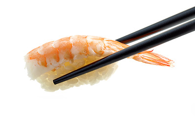 Image showing Shrimp sushi