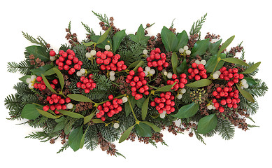 Image showing Holly and Mistletoe Flora