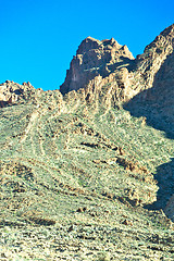 Image showing brown bush  in    valley  morocco     the atlas dry mountain  