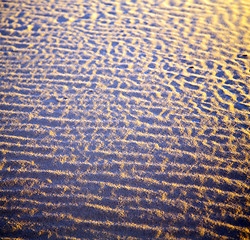 Image showing africa the brown sand dune in   sahara morocco desert line