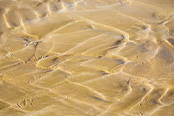 Image showing dune in africa brown   wet sand atlantic ocean