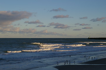 Image showing Beach in Hirthals in Denmark