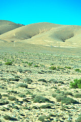 Image showing brown bush  in    valley  morocco     africa the 