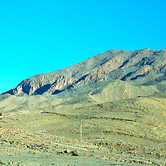 Image showing bush  in    valley  morocco     africa the atlas dry mountain  