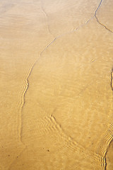 Image showing morocco in africa brown coastline wet sand beach 