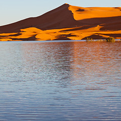 Image showing sunshine in the lake yellow  desert of morocco sand and     dune