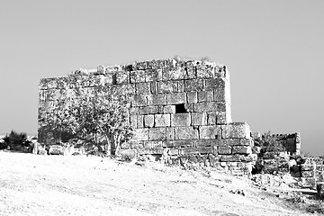 Image showing history pamukkale    old  in asia    and the roman temple 