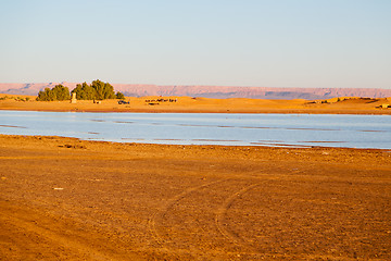 Image showing sunshine in the lake yellow  sand and     dune