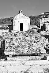 Image showing history pamukkale    old construction in asia turkey the column 